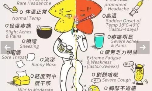 风寒感冒化热吃什么药、电线为什么是两根 -风寒化热的感冒怎么用药网